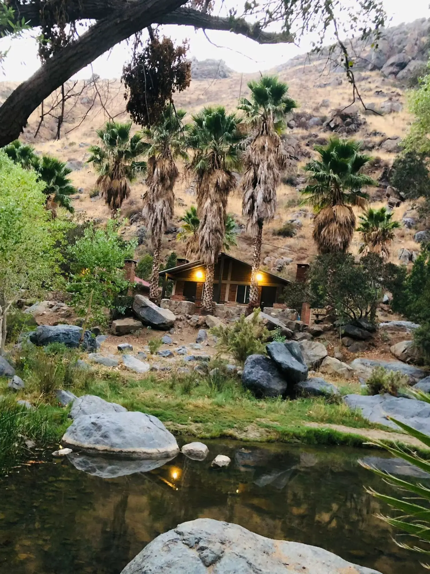 Cabin with palm trees reflected in pond