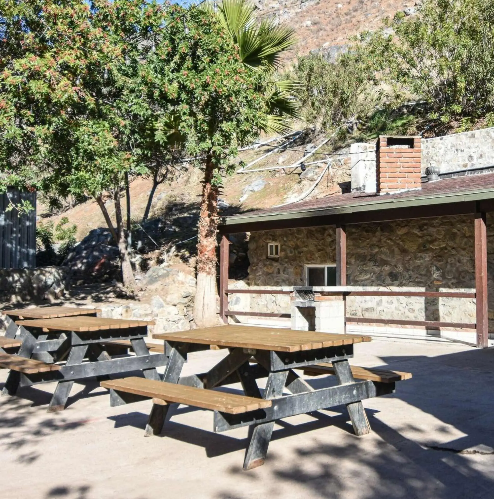 Empty outdoor wooden picnic tables by building