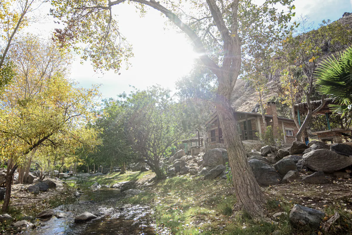 Sunlit creek with trees and rustic cabin